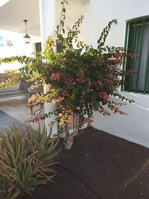 Casa Su, Precioso En Complejo Con Piscina